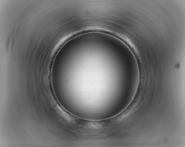 X0000091990799200709131453
