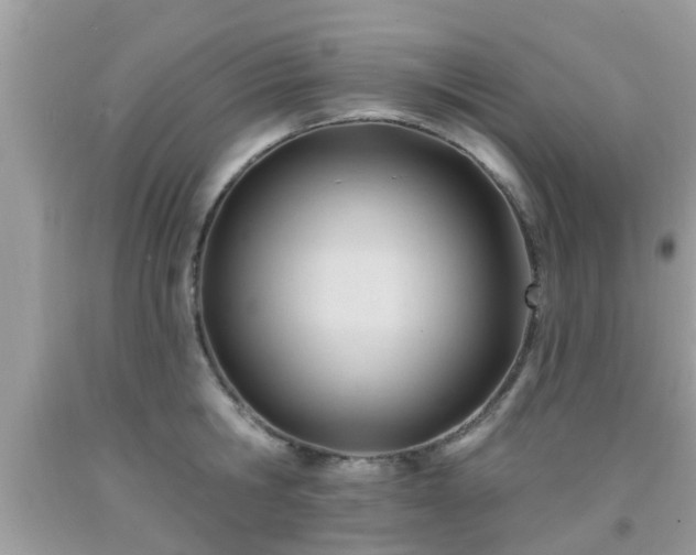 X0000091990806200709131452