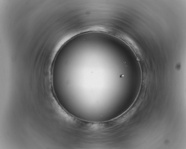 X0000091990808200709131452