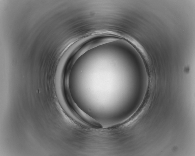 X0000091990809200709131452