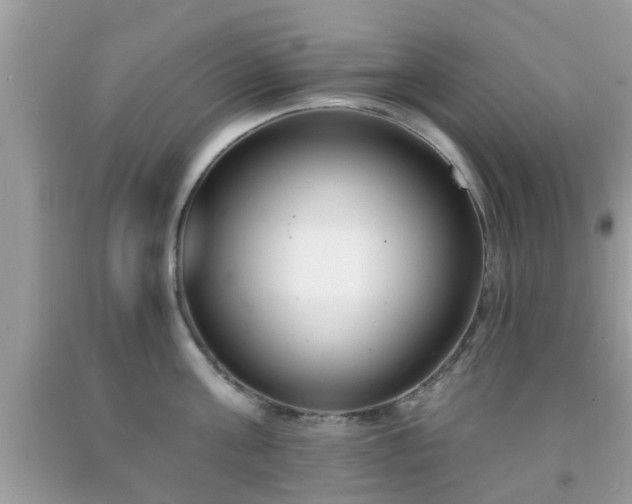 X0000091990811200709131452