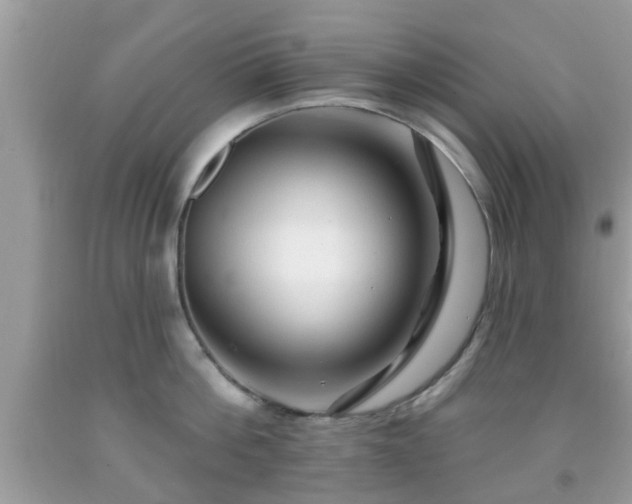 X0000091990812200709131452