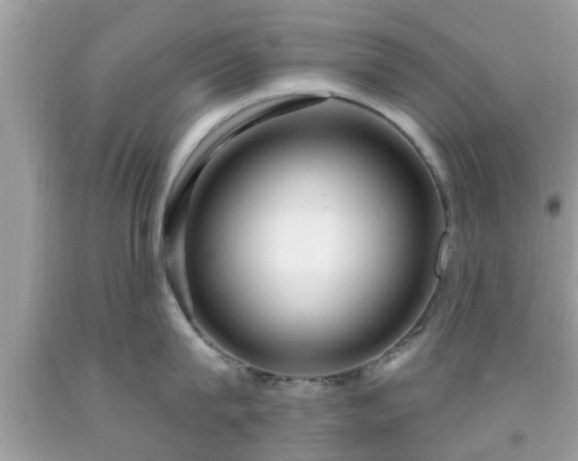 X0000091990815200709131452