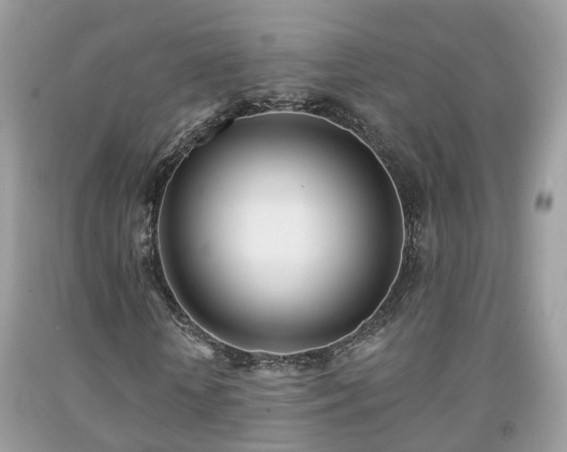 X0000091990818200709131452