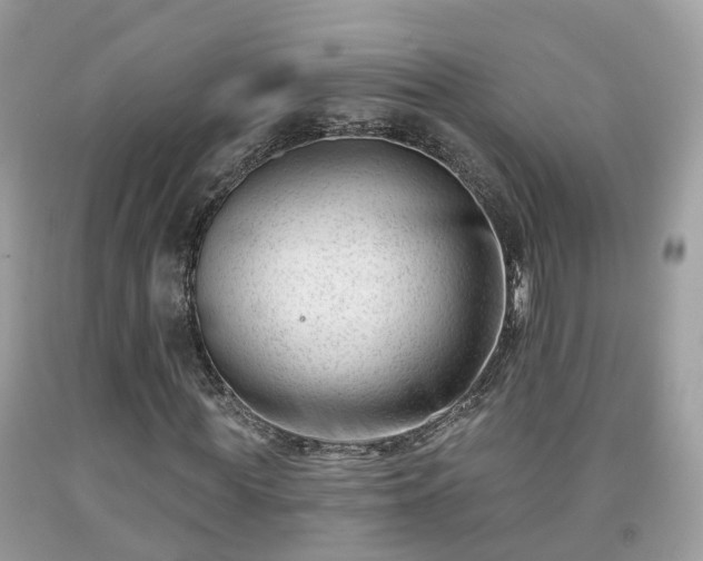X0000091990819200709131452