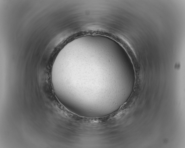 X0000091990823200709131452