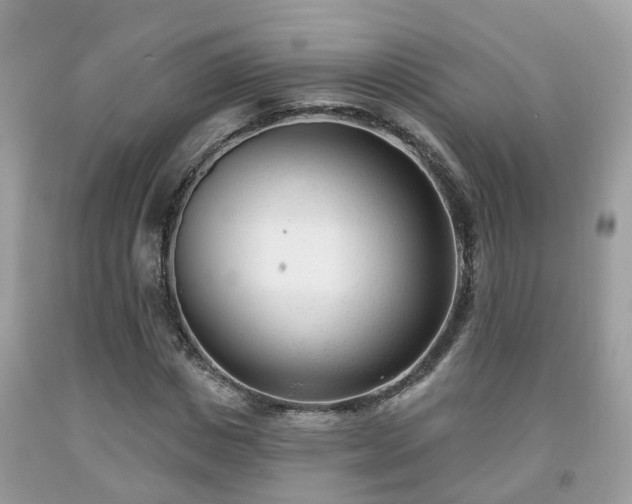 X0000091990825200709131452