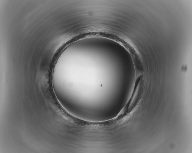 X0000091990826200709131452