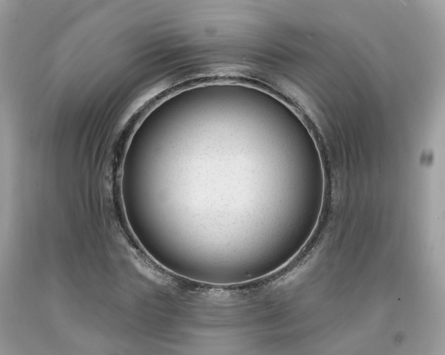 X0000091990827200709131452
