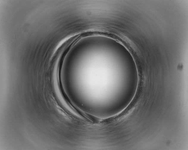 X0000091990830200709131452