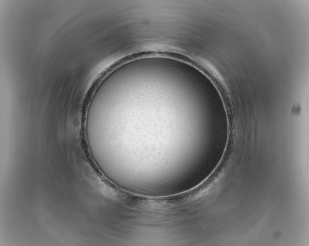 X0000091990831200709131452