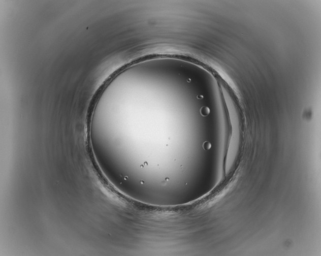 X0000091990837200709131452