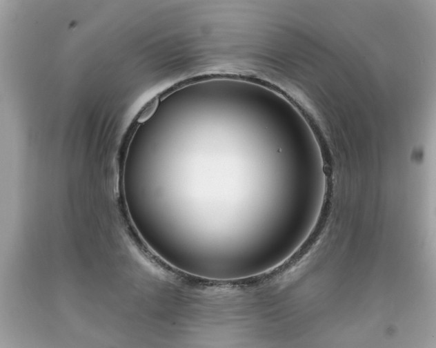 X0000091990838200709131452