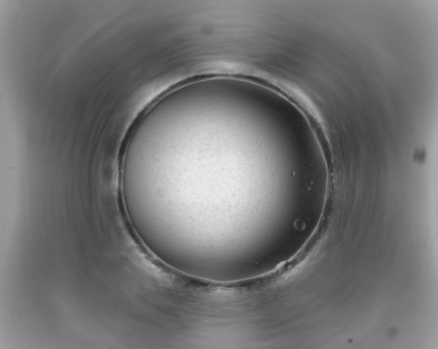 X0000091990839200709131452