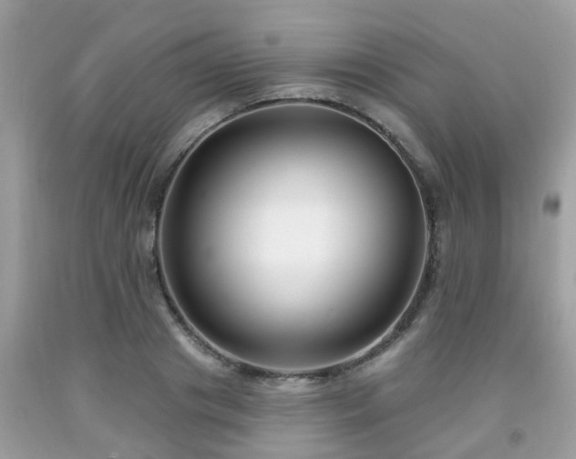 X0000091990841200709131452