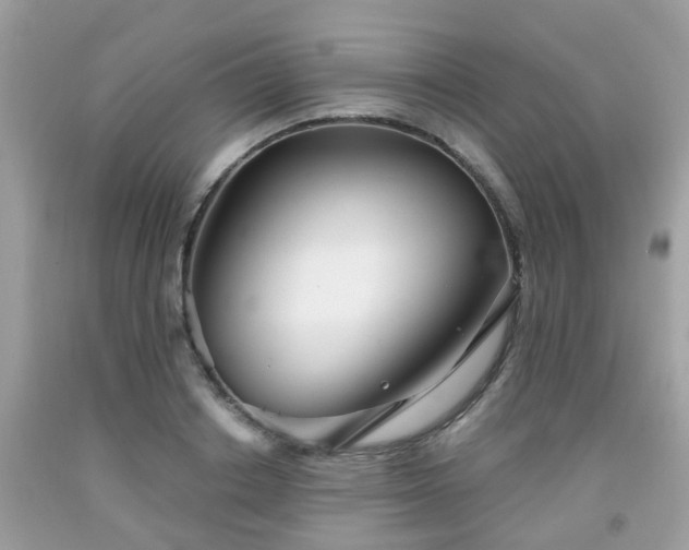 X0000091990842200709131452