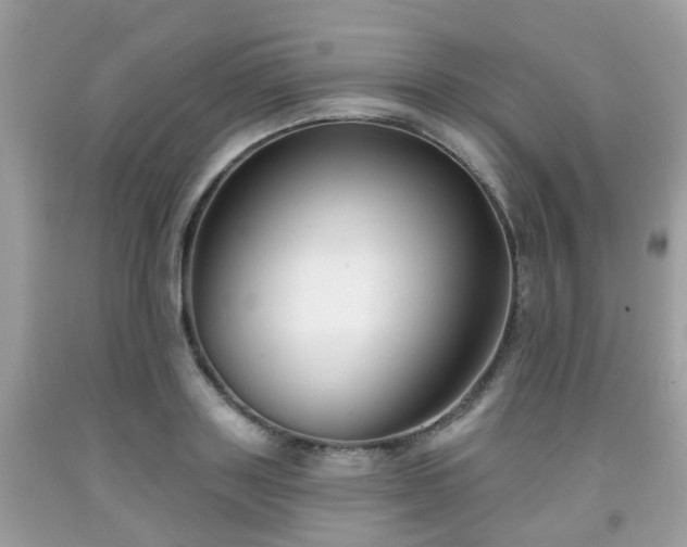X0000091990843200709131452