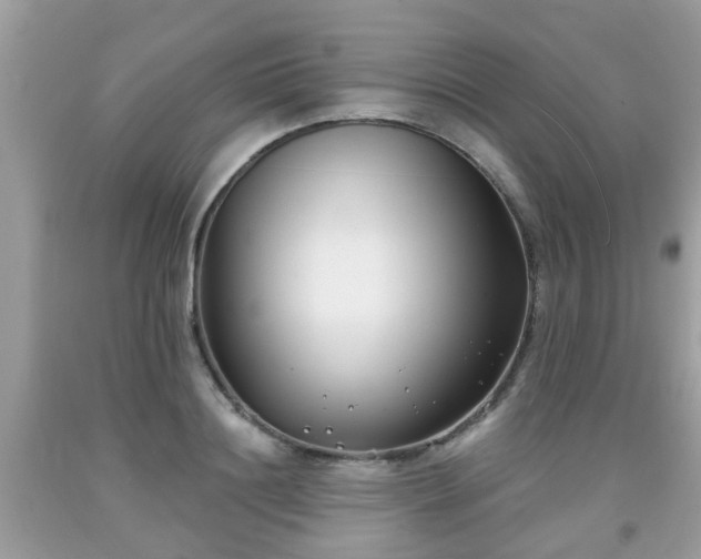 X0000091990844200709131452