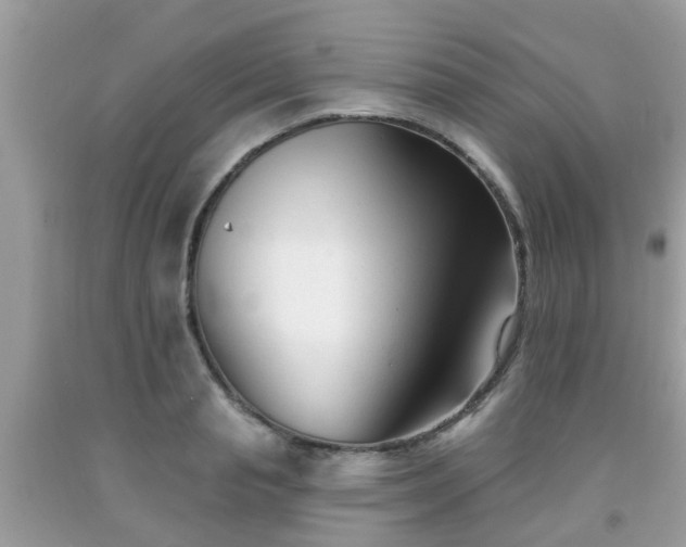 X0000091990845200709131452