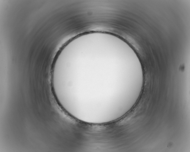 X0000091990848200709131452