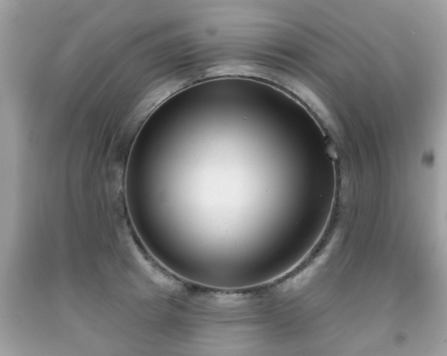 X0000091990849200709131452