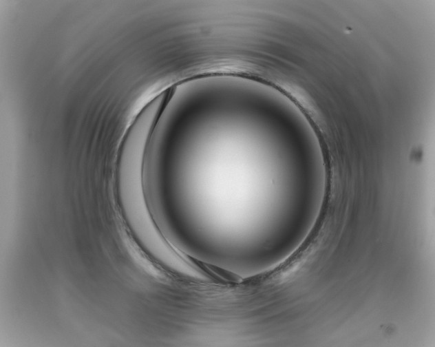 X0000091990850200709131452