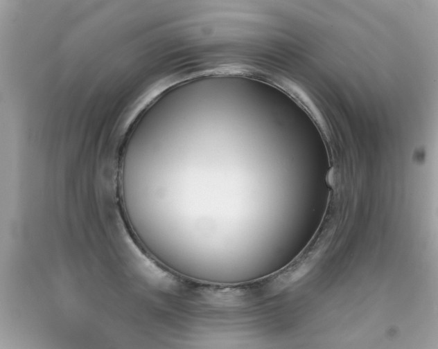 X0000091990851200709131452