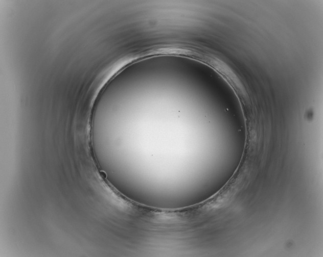 X0000091990852200709131452
