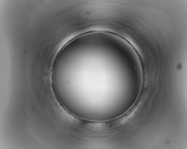 X0000091990853200709131452