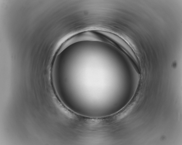 X0000091990854200709131452
