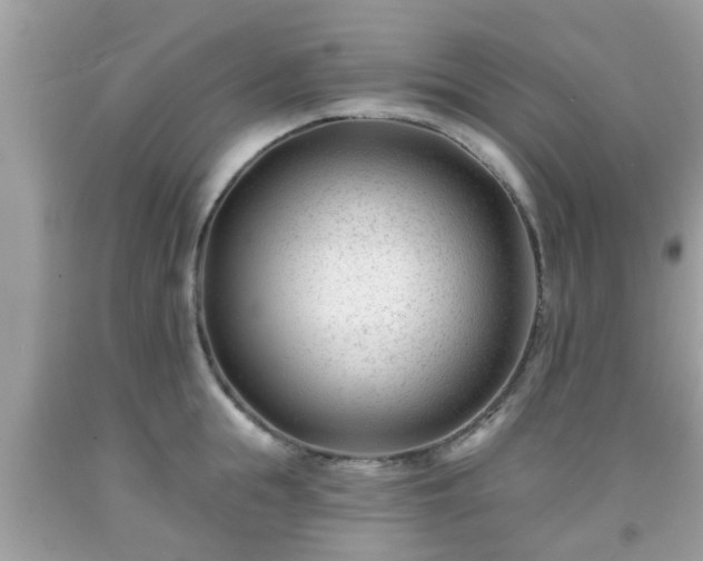 X0000091990855200709131452