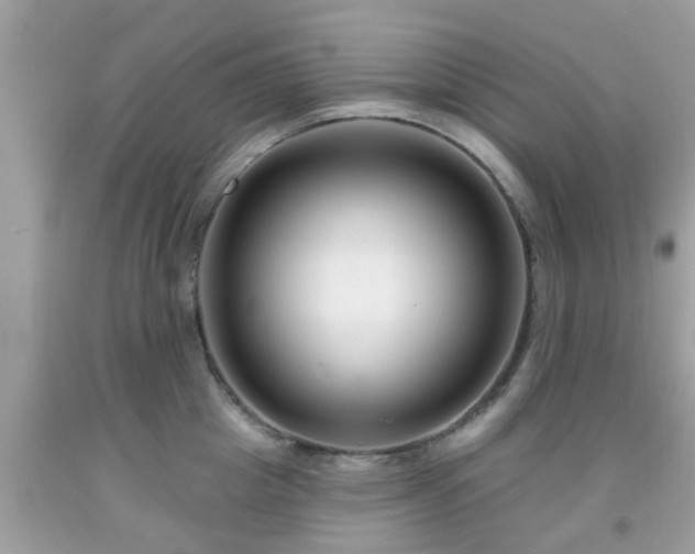 X0000091990857200709131452