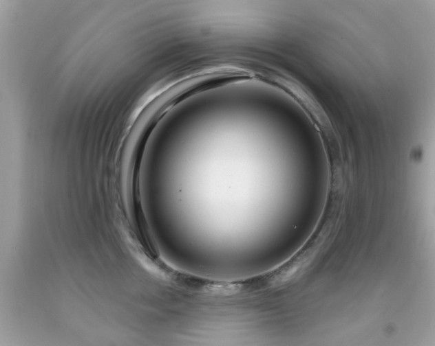 X0000091990858200709131452