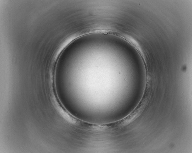 X0000091990859200709131452