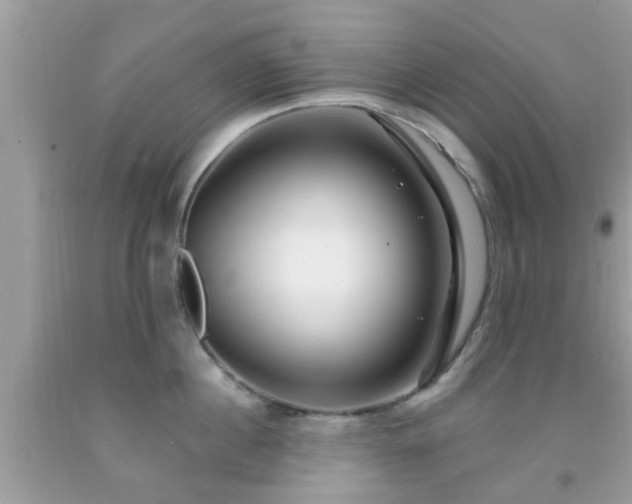 X0000091990860200709131452