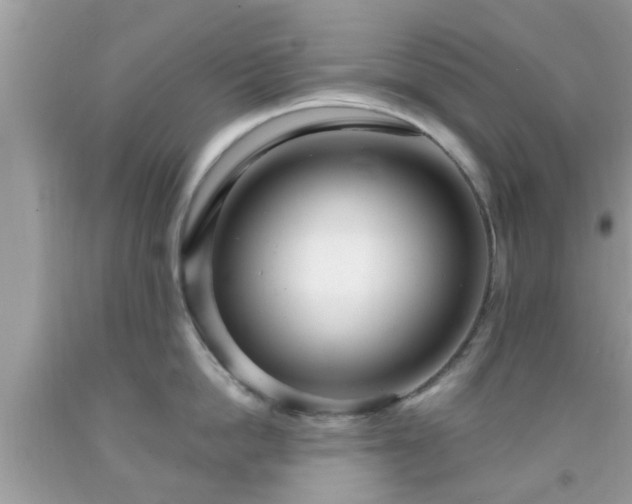 X0000091990862200709131452
