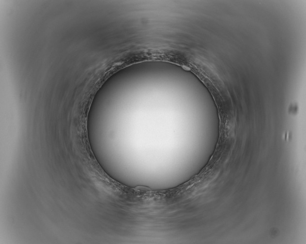X0000091990865200709131452
