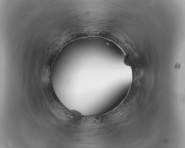 X0000091990866200709131451