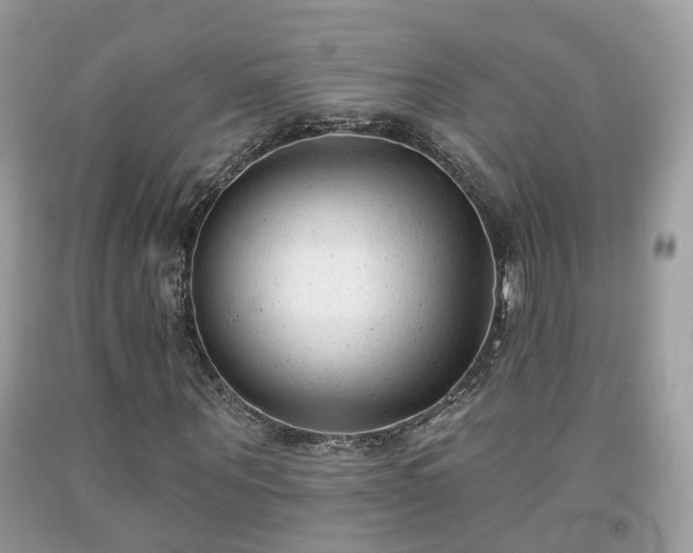 X0000091990867200709131451
