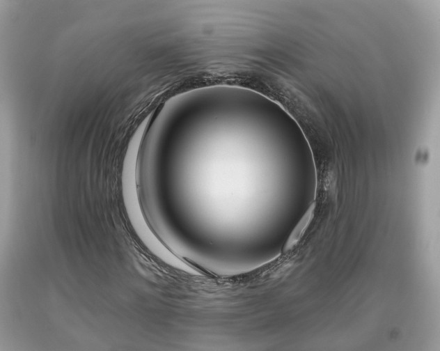 X0000091990868200709131451