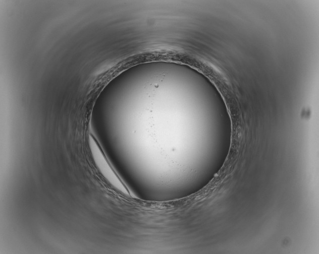X0000091990869200709131451