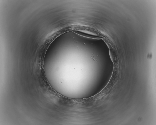 X0000091990870200709131451