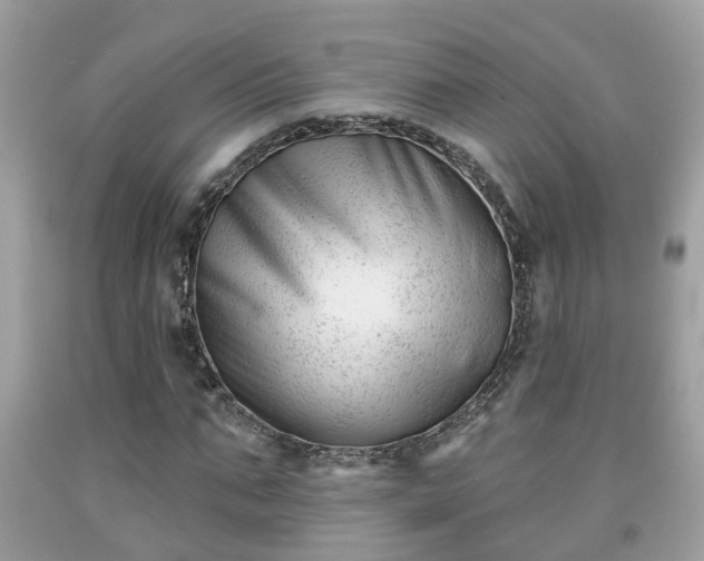 X0000091990871200709131451