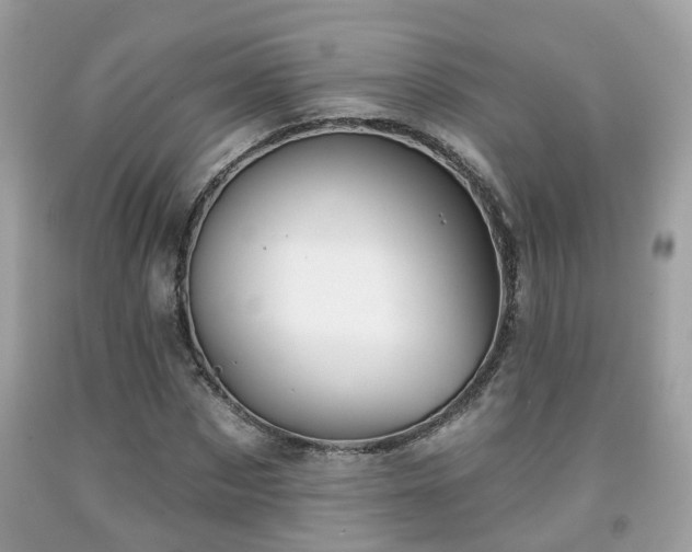 X0000091990873200709131451