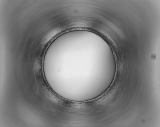 X0000091990874200709131451
