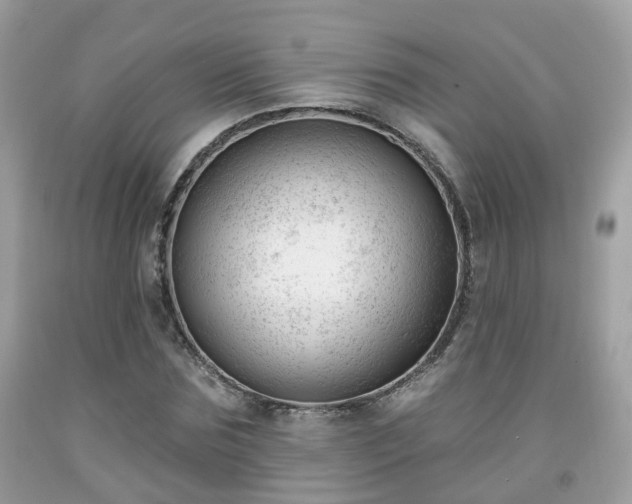 X0000091990875200709131451