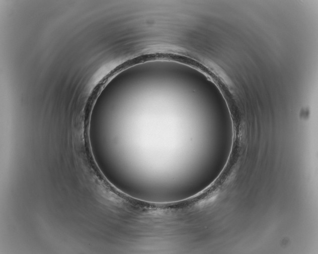 X0000091990877200709131451