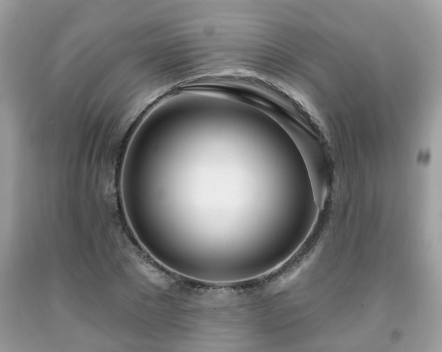 X0000091990881200709131451