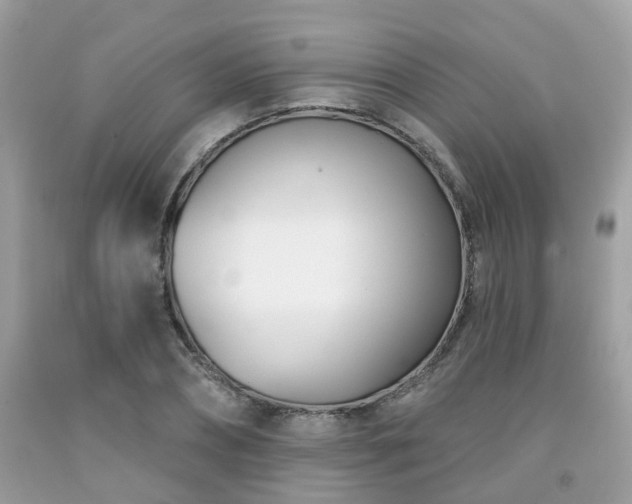 X0000091990882200709131451