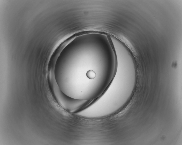 X0000091990884200709131451
